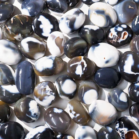 Orca Agate