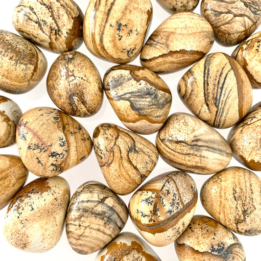 Picture Jasper