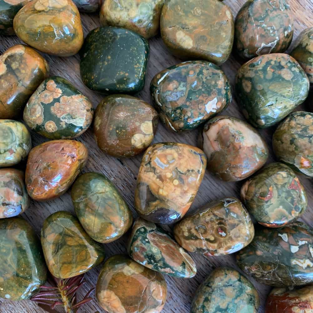 Rainforest Jasper (Rhyolite)