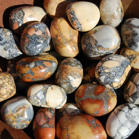 Maligano Jasper