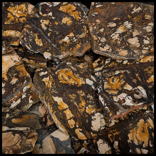Nguni Jasper