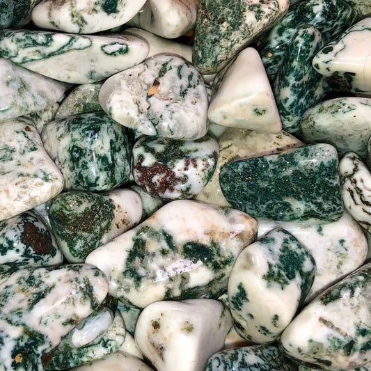 Tree Agate